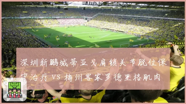 深圳新鹏城蒂亚戈肩锁关节脱位保守治疗 vs 梅州客家罗德里格肌肉拉伤恢复顺利，南粤球队外援复出节奏各异