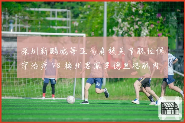 深圳新鹏城蒂亚戈肩锁关节脱位保守治疗 vs 梅州客家罗德里格肌肉拉伤恢复顺利，南粤球队外援复出节奏各异