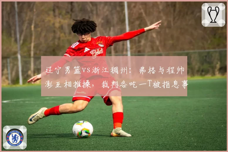 辽宁男篮vs浙江稠州:弗格与程帅澎互相推搡,裁判各吃一T被指息事宁人